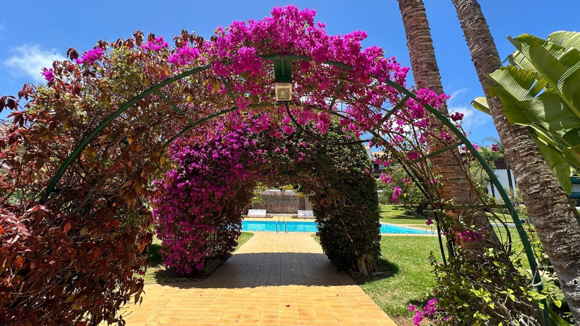Apartmán El Tajinaste III Puerto de la Cruz  Exteriér fotografie